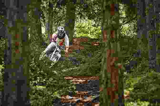 A Lone Biker Riding Through A Lush Forest The Riders (The Riders 1)