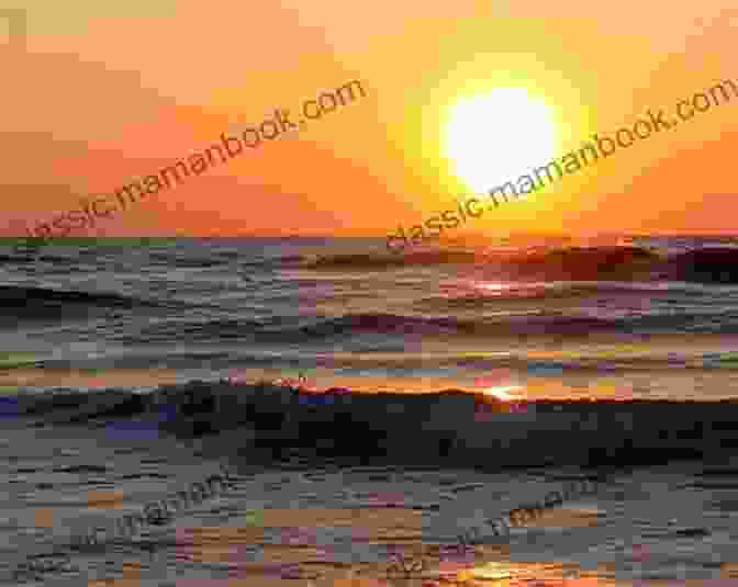 A Sunset Over The Atlantic Ocean In South Carolina Mutts Magnolias (South Carolina Sunsets 9)