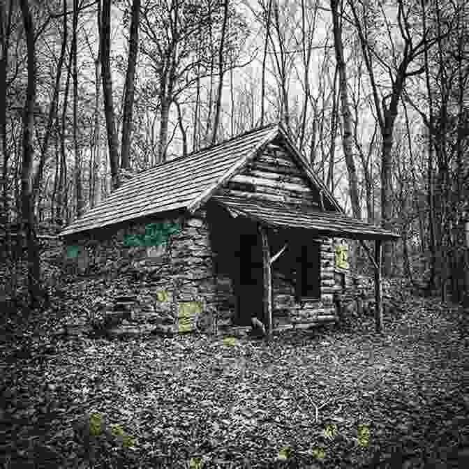 An Abandoned Cabin In The Woods, Said To Be Haunted By The Ghost Of A Murdered Woman. Just A Teacher: Trailer Park Tales And Backwoods Lore