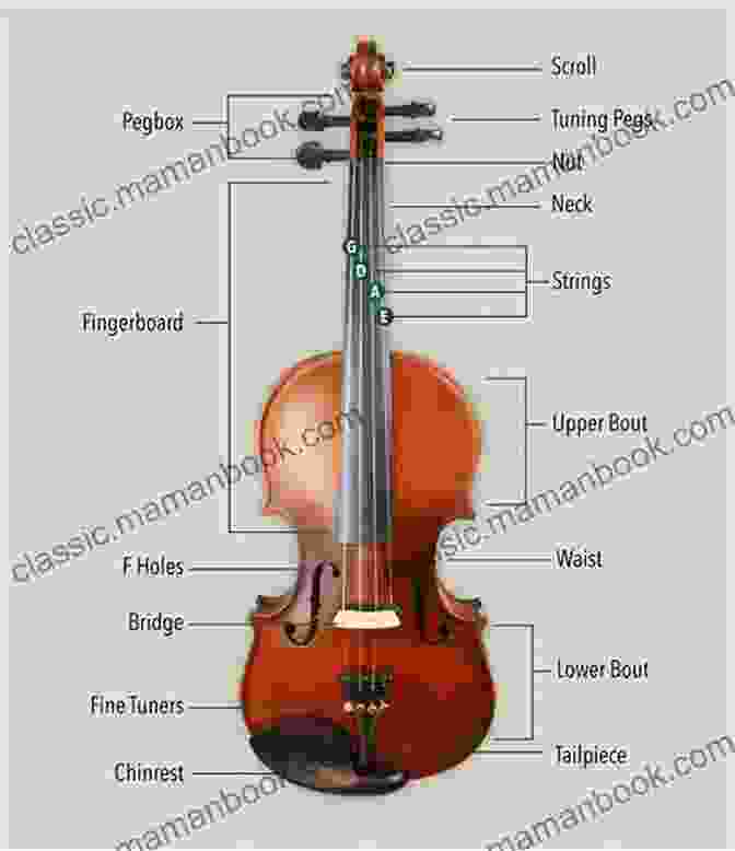 Diagram Of A Violin's Anatomy And Playing Position Beginner Violin Theory And Sight Reading For Children One