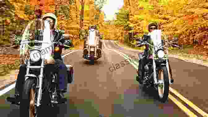 Group Of Bikers Riding In Formation On A Scenic Road The Riders (The Riders 1)