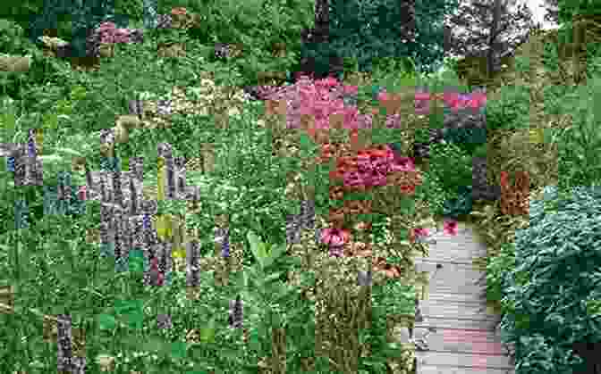 Image Of A Flourishing Garden Ecosystem With Diverse Plant Species Botany For Gardeners Brian Capon