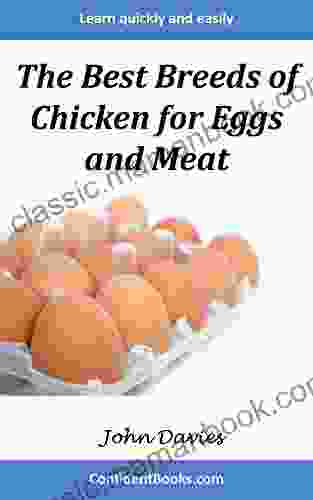 The Best Breeds Of Chicken For Eggs And Meat: Your Guide To The Best Backyard Egg And Meat Chickens