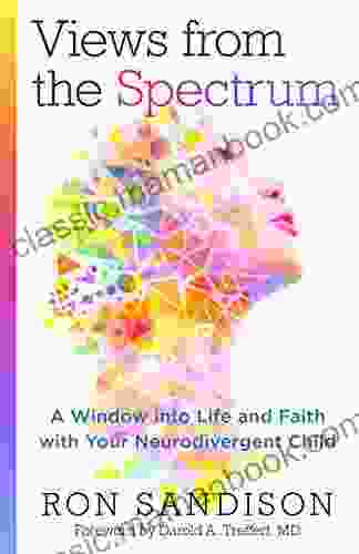 Views From The Spectrum: A Window Into Life And Faith With Your Neurodivergent Child
